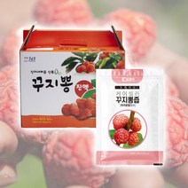 신이내린선물 꾸지뽕 즙 진액 무농약 친환경 구지뽕 꾸찌뽕, 프리미엄 100ml / 60포, 1개