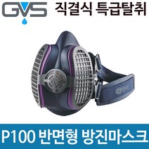 [GVS] 일립스 P100 직결식 반면형 방진마스크 (특급 탈취용)/ 당일발송/ 무료배송/SPR449(소형)/SPR456(대형), SPR456 대형(필터포함)