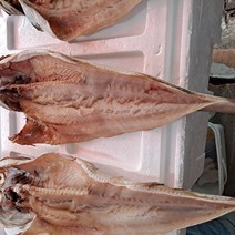 동울산수산 명태 반건조 냉동 대 3마리 45~50 cm, 토막낸것, 1개