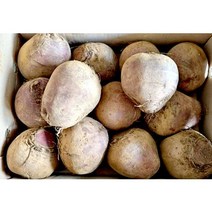 국산 알비트 레드비트 5kg, 알비트 5kg, 1개