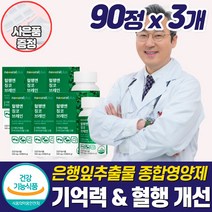 식약청혈액순환 개선 은행잎추출물 손끝 다리 종아리 하체 손발 저림 영양제 차가움 뇌 머리 기억력 혈행혈관 관리 개선제 좋은 건강식품 중년 노인 노화 갱년기 추천 작은 알약 타입, 혈액순환영양제_3개_할인_사은품, 3개