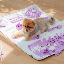 간식찾기 패턴 강아지 노즈워크 M 애견간식볼 장난감