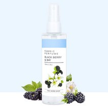 섬유 향수 드레스퍼퓸 미니 100ml 블랙베리앤베이 디퓨저 남자방냄새 실내 룸스프레이 옷땀냄새제거 ozinc*132798949gm, 1, 본상품선택