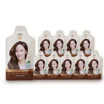 댕기머리 더 편한 샴푸형 염색 30g x 10개 4호 자연갈색