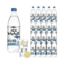 아이스웨일 탄산수 20병 플레인 500m 탄산음료, 플레인 500ml 20병
