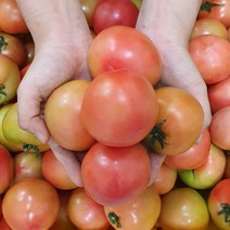 최저가로 저렴한 완숙찰토마토5kg 중 판매순위 상위 제품의 가성비 추천