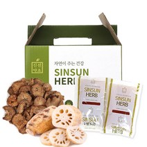 신선약초 국산 우엉연근즙 110mlx30포