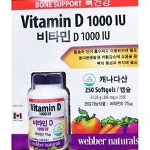WEBBER NATURALS 비타민D 1000IU 205GX250캡슐