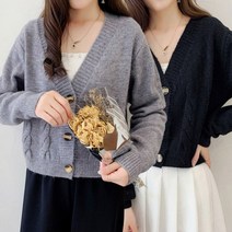 이지핏 여성 크롭기장 도톰한 러블리 꽈배기 니트 가디건 여자가디건 여성가디건 브이넥가디건 여성니트가디건 가디건 니트가디건 봄가디건 여성니트 라운드니트 롱가디건여성 루즈핏가디건 여자니트가디건 남자가디건 니트