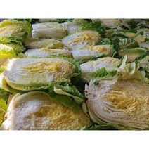 오늘애푸드 김장시즌 국내산 강원도 / 해남 절임배추20kg, 11월8일(수)도착