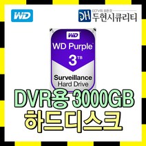 Western Digital CCTV용 저장장치 HDD, 3TB