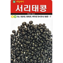 영양만점 서리태콩씨앗(30g) (A0123)