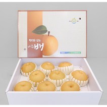 명품 나주배 선물세트 햇배 특품 7.5kg 11-13과 명절 추석 선물