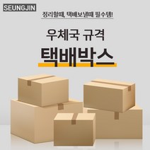 승진산업 우체국택배박스 2호상자(270*180*150)규격박스 무지상자, 10매