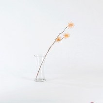 [모던하우스] 칼리 안드라 스프레이 53cm 핑크_AF0120046, 색상:옵션없음