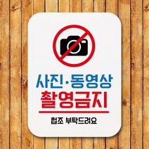 표지판 안내판 팻말 푯말 _사진 동영상 촬영금지 시판 미니 팻말 푯찰 표찰 명판 디자인문패 간판 안내, [선택] 본상품선택