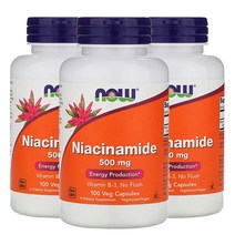 나우푸드 비타민B3 나이아신아마이드 500mg 베지캡슐 100정 3통, 나우푸드 비타민B3 500mg 100정x3