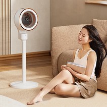 샤오미 JIPIN 써큘레이터 온풍기 전기난로 3초쾌속가열 90도 양방향광폭 3단계온도 조절, 기게버전