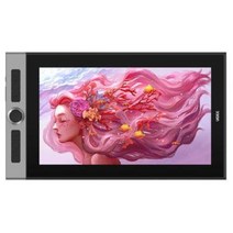 기안84 웹툰 그림 일러스트 액정 태블릿 전자노트 유키그림고화질수화판수화판컴퓨터회화그림수, 01 표준에 부합하다