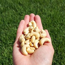 지봉마켓 구운 캐슈넛 500g, 1팩