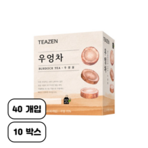 티젠 100세 시대 청춘비법 우엉차, 40g, 40개입, 10개