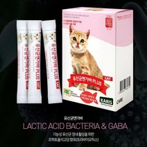 BBC 새끼 아기 고양이 장 유산균 영양제 프리바이오틱스 프로바이오틱스 유산균앤가바 플러스 30스틱