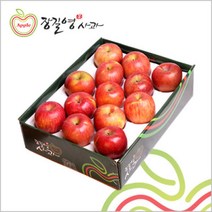 (롯데백화점)(장길영사과) 사과 왕특대과 5kg(10-13과)