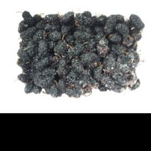 오디냉동 450g, 단품, 단품