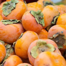 2022년 진영 단감 아삭아삭 맛있는 단감 2kg 5kg 10kg, 07_2kg(8~13과)