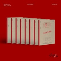 스트레이키즈 앨범 MAXIDENT Stray Kids CASE 맥시던트 케이스버전, 8종중 랜덤1종