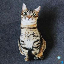 애착인형 고양이인형 리얼동물 애니멀 강아지 진짜같은 봉제 귀여운 장식, 3