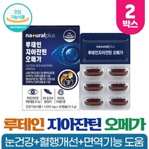 눈건강 루테인 지아잔틴 복합추출물 빌베리 결명자 추출분말 함유 건강기능식품, 30캡슐 x 2박스