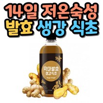 14일 저온 숙성 발효 생강 식초 500ml 유기농 원당 생강 현미막걸리식호 배합