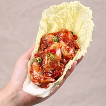 셰프애찬 통영 생굴 무침400g+400g 탱글탱글 싱싱한 굴무침, 400g/1캔+400g/1캔