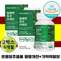 손가락저림 손끝 발끝 발바닥 차가움 저림 혈행개선제 징코 혈관 영양제 확장제 망간 비타민 아연 은행잎 추출물 콜레스테롤 개선 과체중 잦은회식 음주 여성 남성 직장인 건강 케어