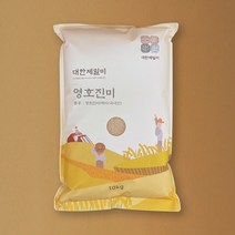 [삼해진미] 구룡포 국산 반건조오징어 5미(550g내외), 단품