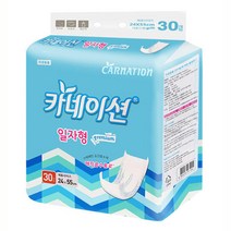 카네이션 성인용기저귀 속기저귀/일자고급형 30매X2팩(60매)