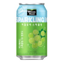 미닛메이드 스파클링 청포도 350mlx24캔x2박스
