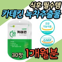 단기간 한달 14일 다이어트 보조제 카테킨 건강하게 살빼기 뱃살 똥배 배살 관리 녹차 추출물 3일 7일 1주 2주 3주 단기 체지방 감소 혈중 콜레스테롤 비타민C 영양제 추천