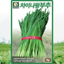 차이나왕 부추 씨앗 부추 씨 종자 8g, 단품