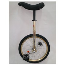 서서타는 외발 자전거 전문 성인 코어 강화 운동, 단일옵션, 20인치 로즈 파우더