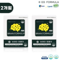 고함량 포스파티딜세린 300mg 2개월 브레인포뮬러 건망증 인지력 기억력 두뇌영양제, 브레인 포뮬러 2개