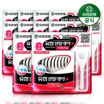 [유한양행] 유한덴탈케어 기구형치실 12입 x 10개, 상세 설명 참조, 12개