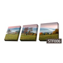 사진 한장을 액자 3개로 만든 3분할 캔버스액자, STF006