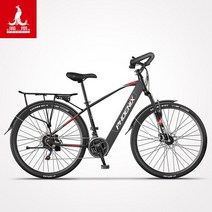 전기 자전거 29 인치 남성 여성 가변 속도 산악 자전거 전동 킥보드 배달 운동 패달 겸용, 45km리튬배터리6