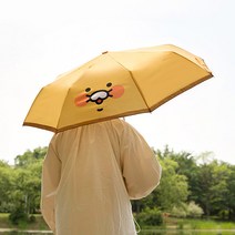 춘식이 3단 커버 우산 자동우산 장마철 캐릭터우산