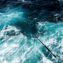 챕피쉬 스피닝 볼락 휴대용 한치 낚싯대 루어 낚시대