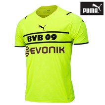 푸마 도르트문트 남성 트레이닝 반팔 쿨티셔츠