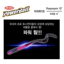 버클리 파워베이트 파워웜 10인치 소프트베이트, RS