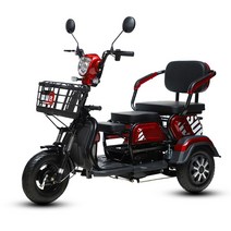 삼발이오토바이 세발 전동차 48V 어르신 전기차 농업용, 48V 600W